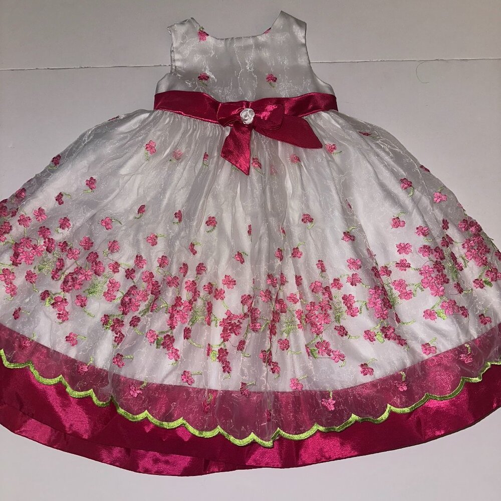 Girls Size 4 Nannette Girl Fancy Spring Easter Dress Taffeta Embroidered Organza